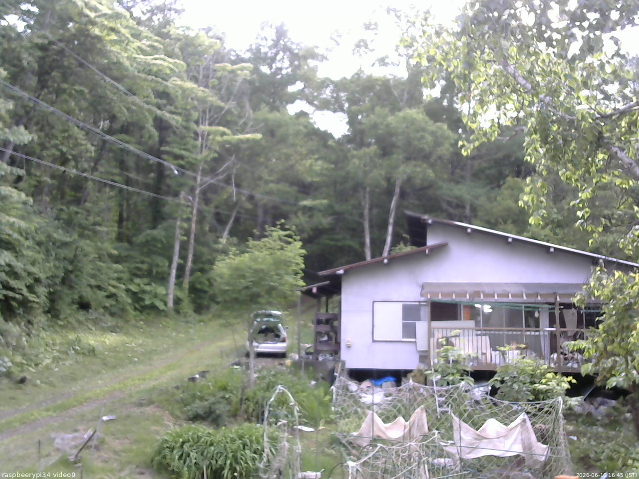 長野県菅平高原 ゆたか山荘 西側(坂上) 2026/06/16 16:45