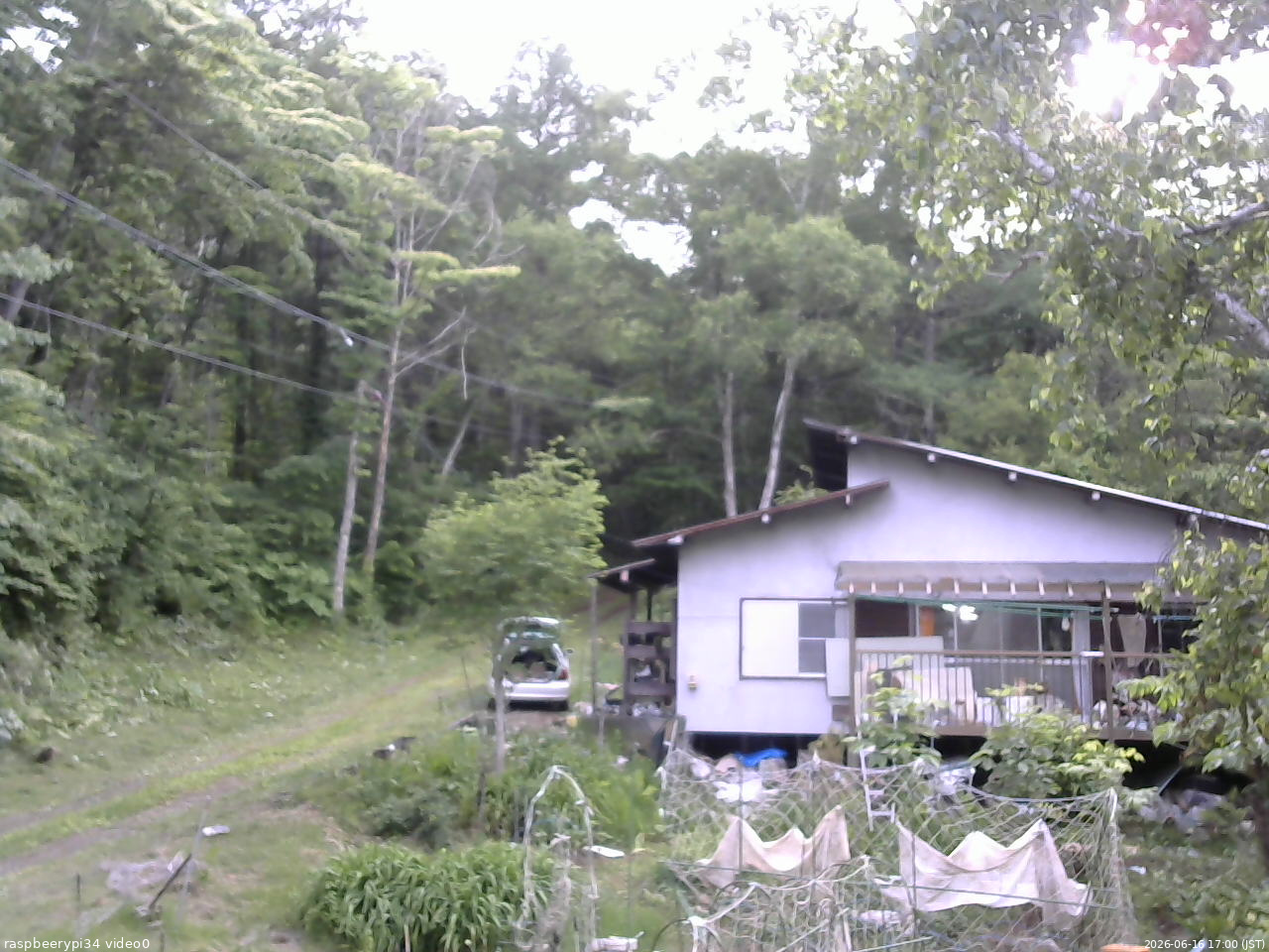 長野県菅平高原 ゆたか山荘 西側(坂上) 2026/06/16 17:00