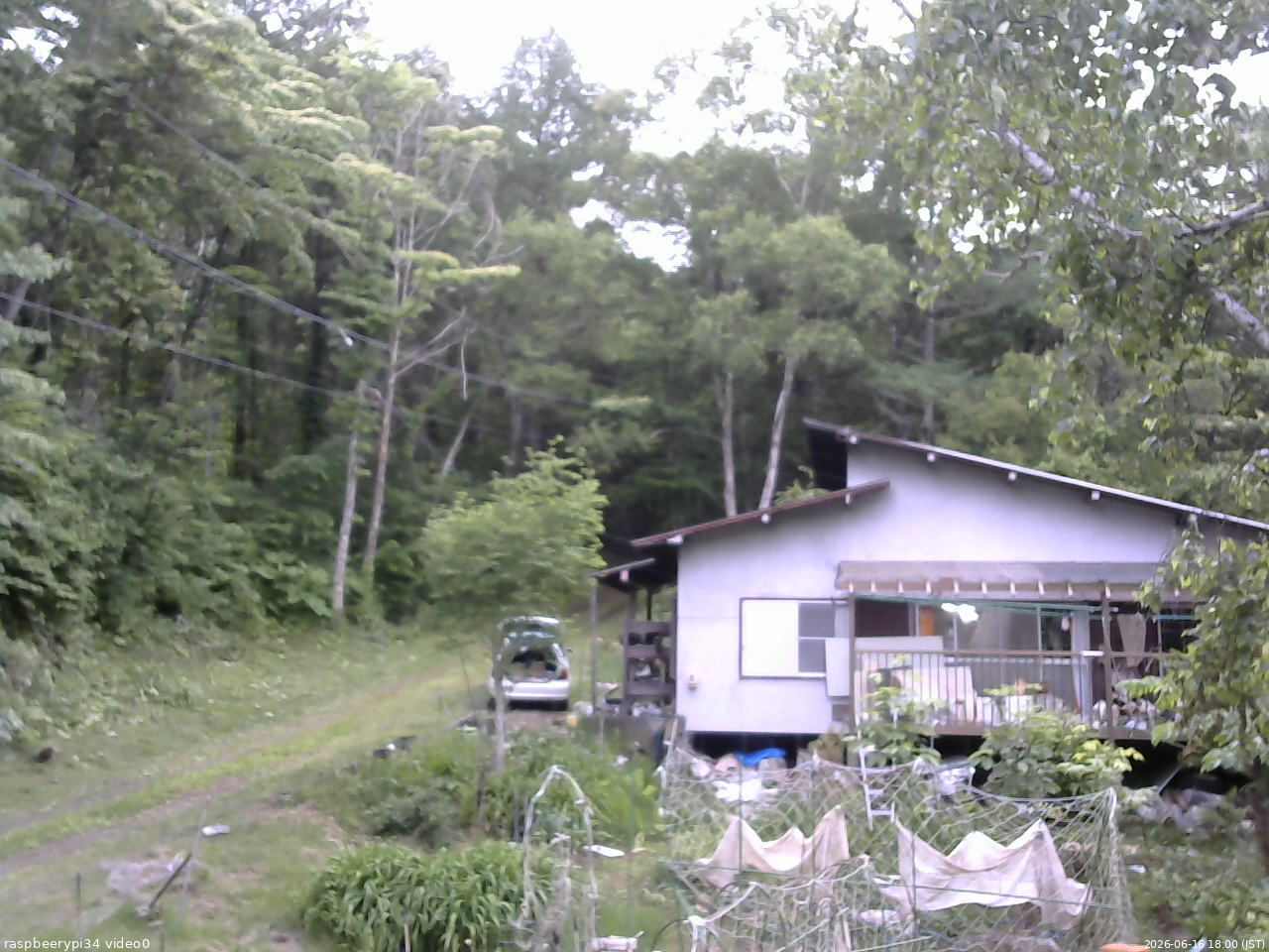 長野県菅平高原 ゆたか山荘 西側(坂上) 2026/06/16 18:00