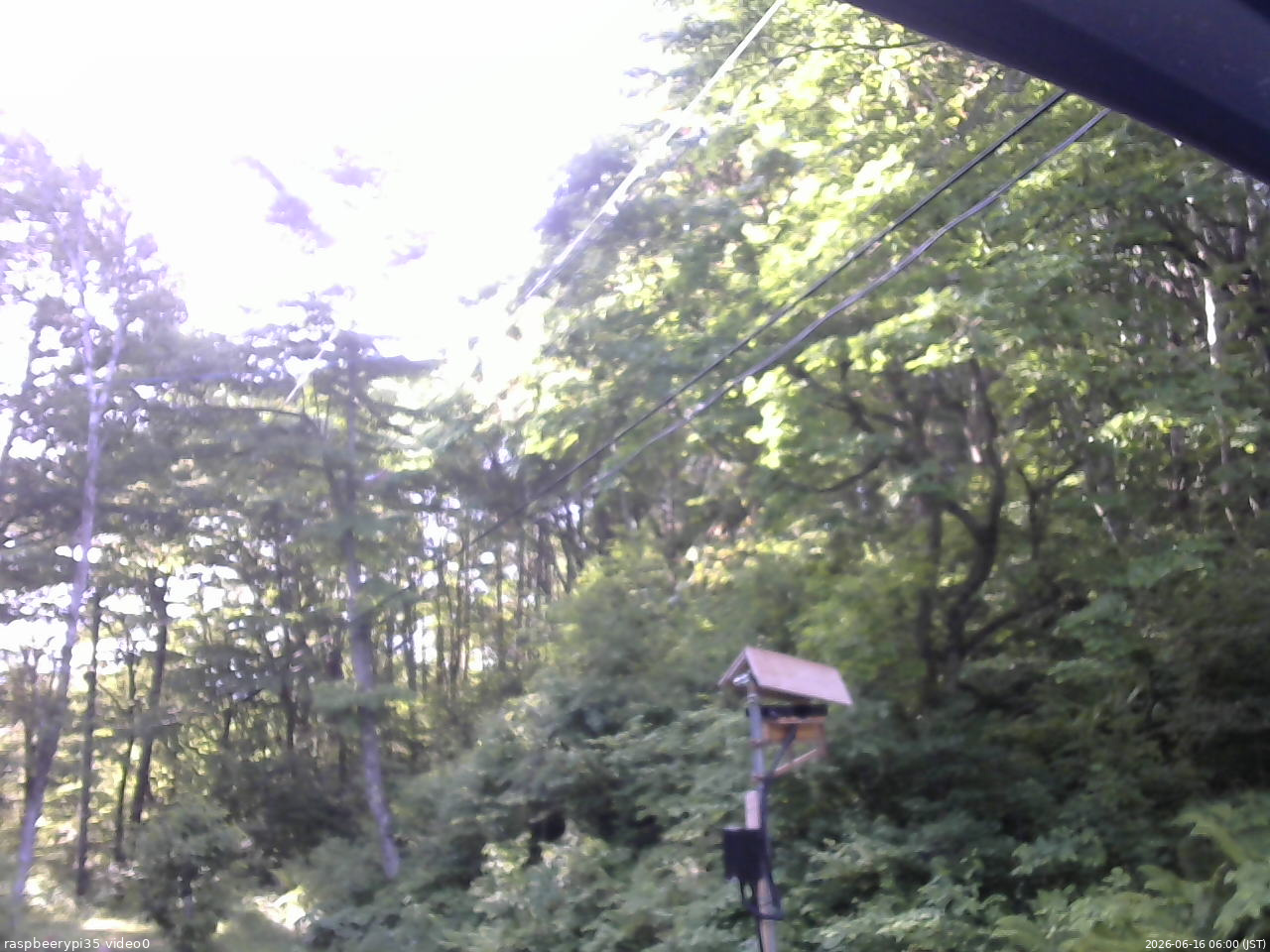 長野県菅平高原 ゆたか山荘 温度計 2026/06/16 06:00