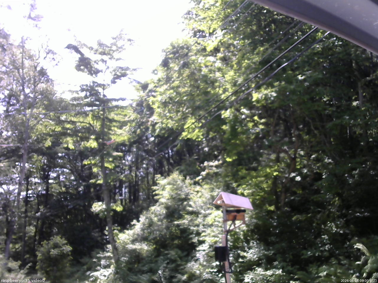 長野県菅平高原 ゆたか山荘 温度計 2026/06/16 09:00