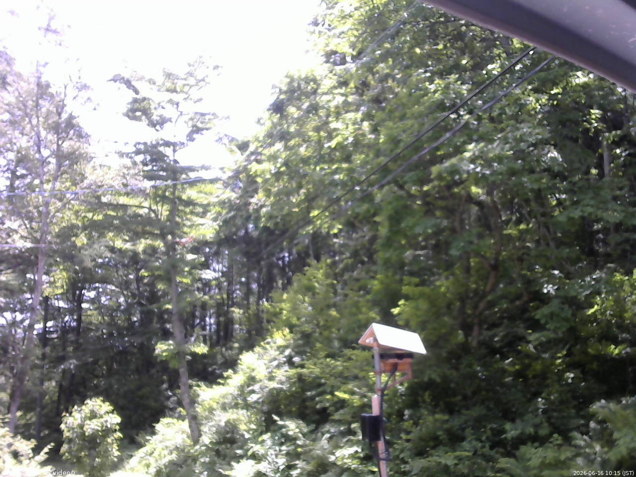 長野県菅平高原 ゆたか山荘 温度計 2026/06/16 10:15