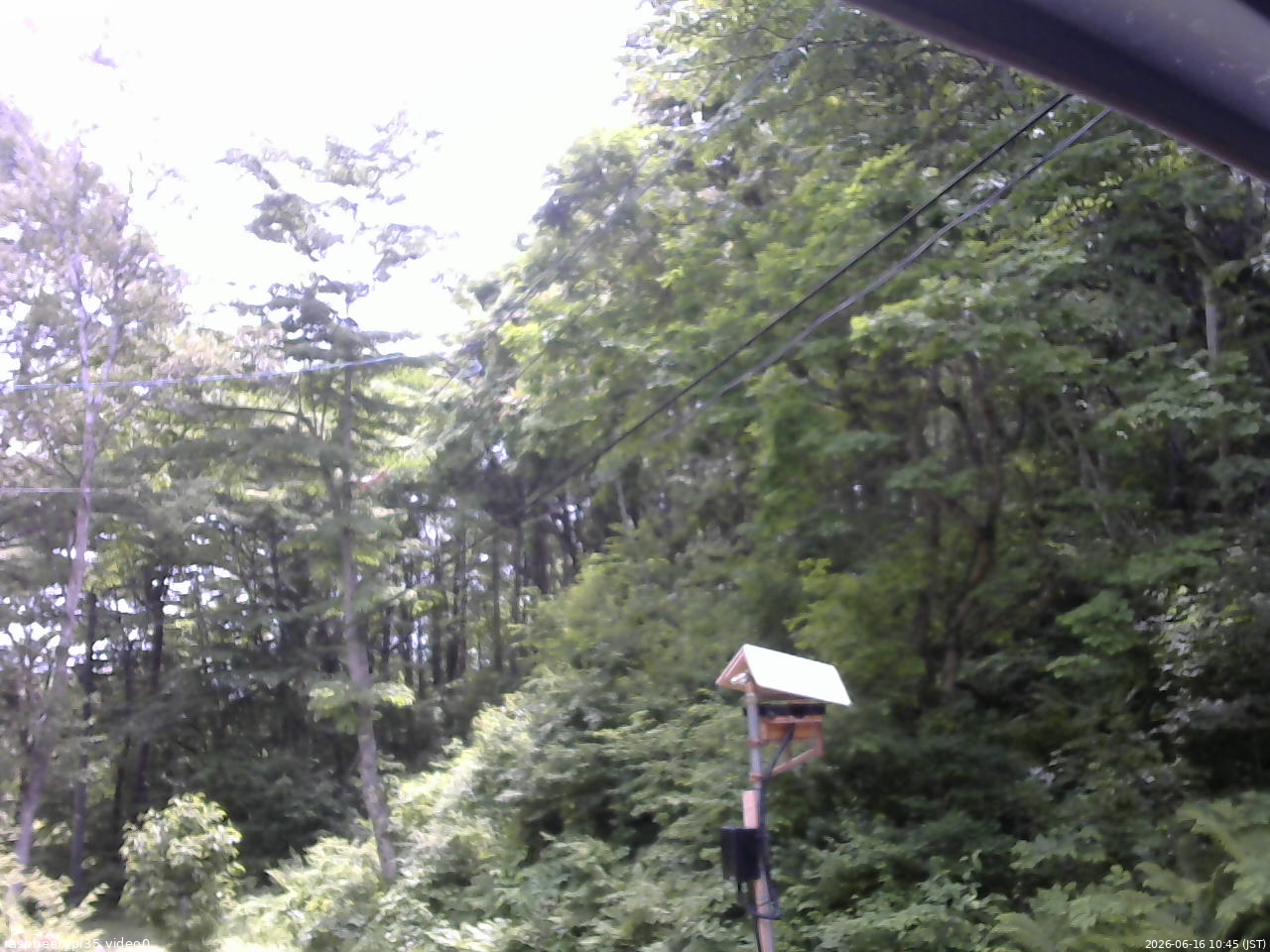 長野県菅平高原 ゆたか山荘 温度計 2026/06/16 10:45