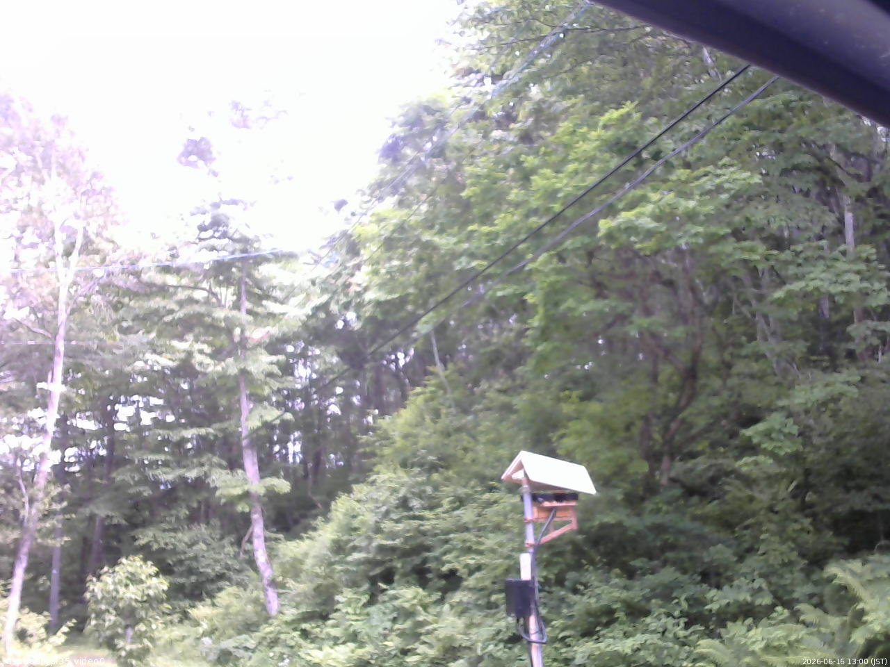 長野県菅平高原 ゆたか山荘 温度計 2026/06/16 13:00