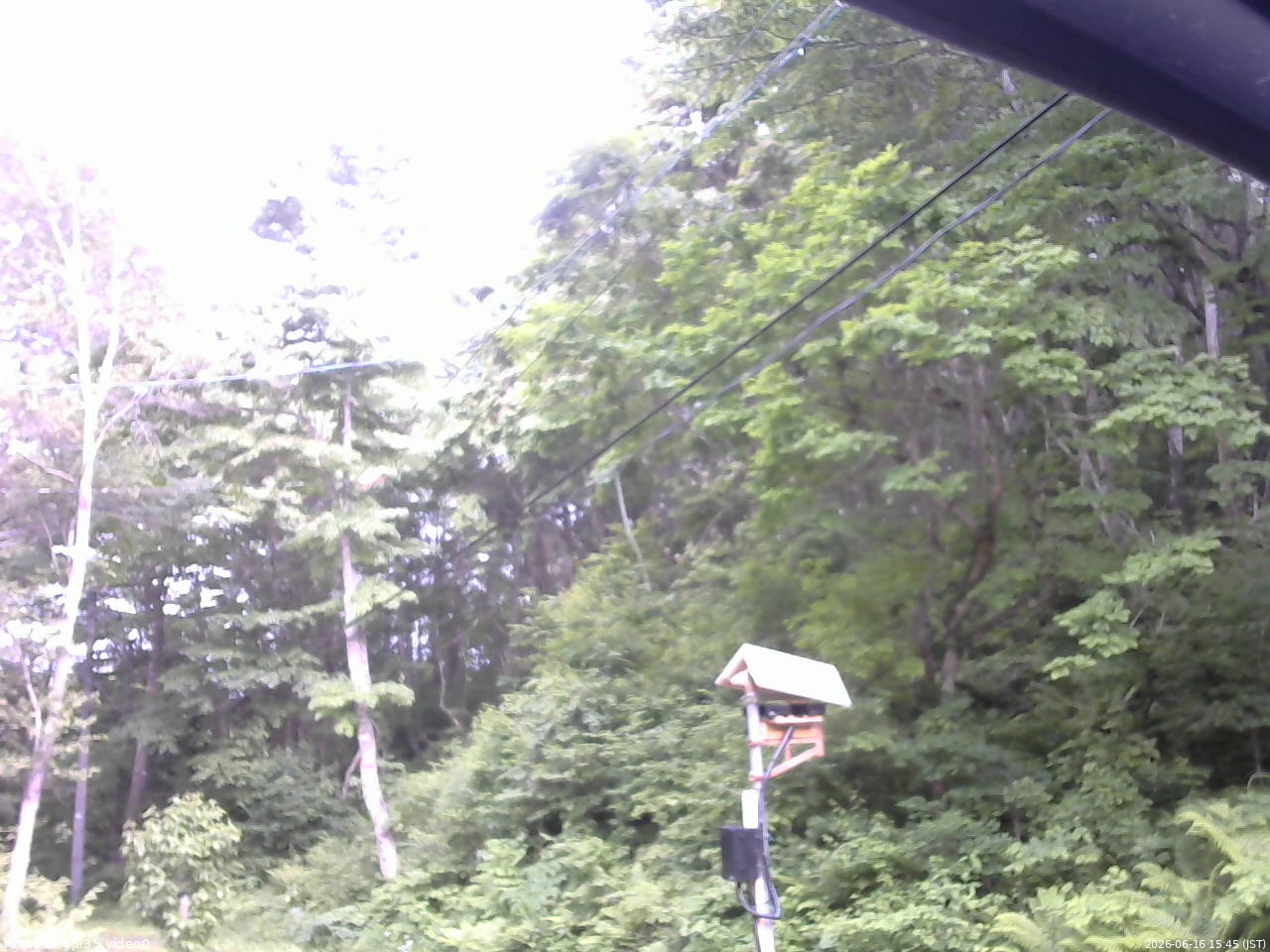 長野県菅平高原 ゆたか山荘 温度計 2026/06/16 15:45