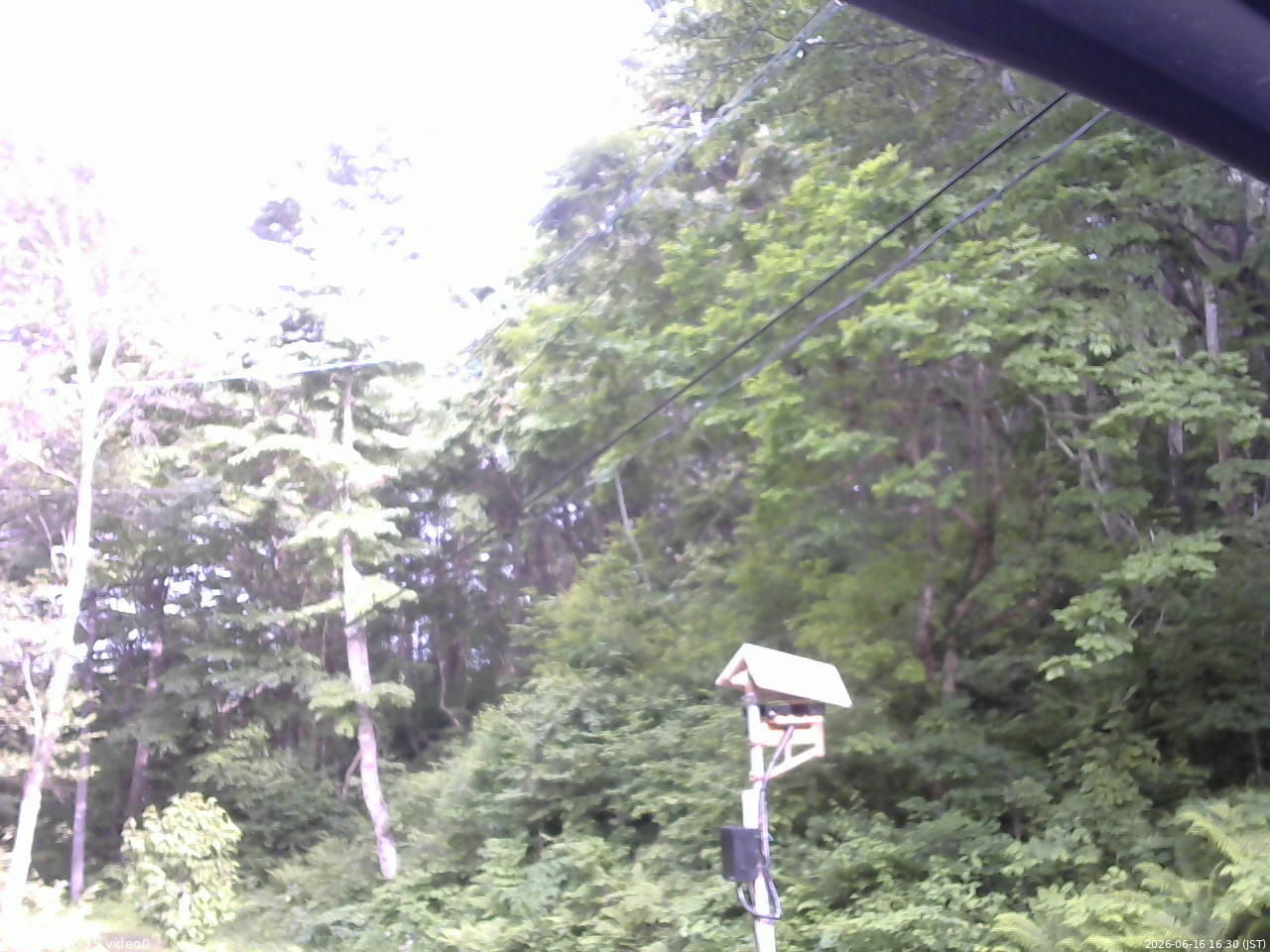 長野県菅平高原 ゆたか山荘 温度計 2026/06/16 16:30