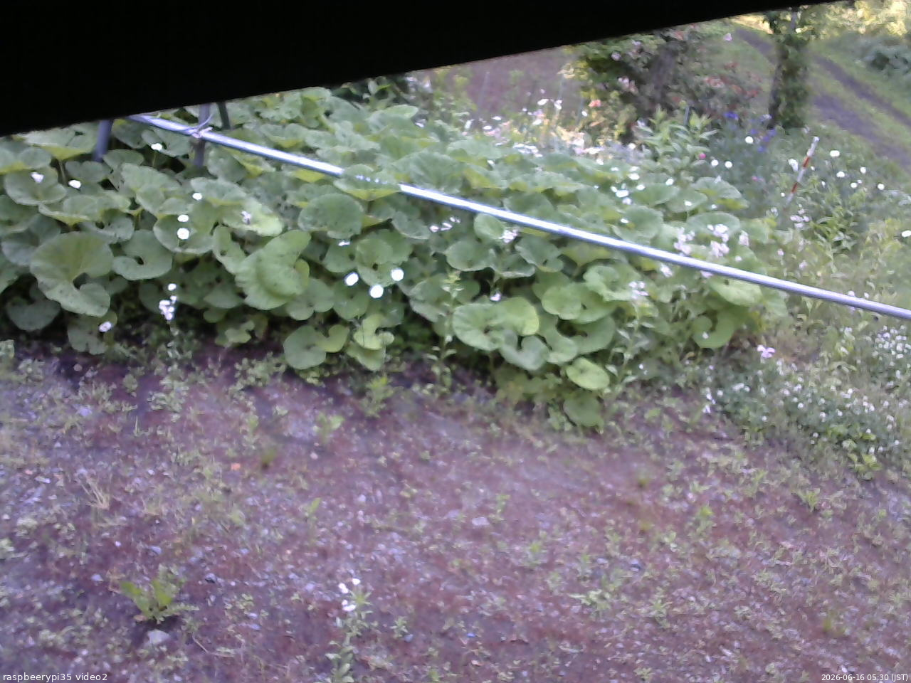 長野県菅平高原 ゆたか山荘 駐車場 2026/06/16 05:30