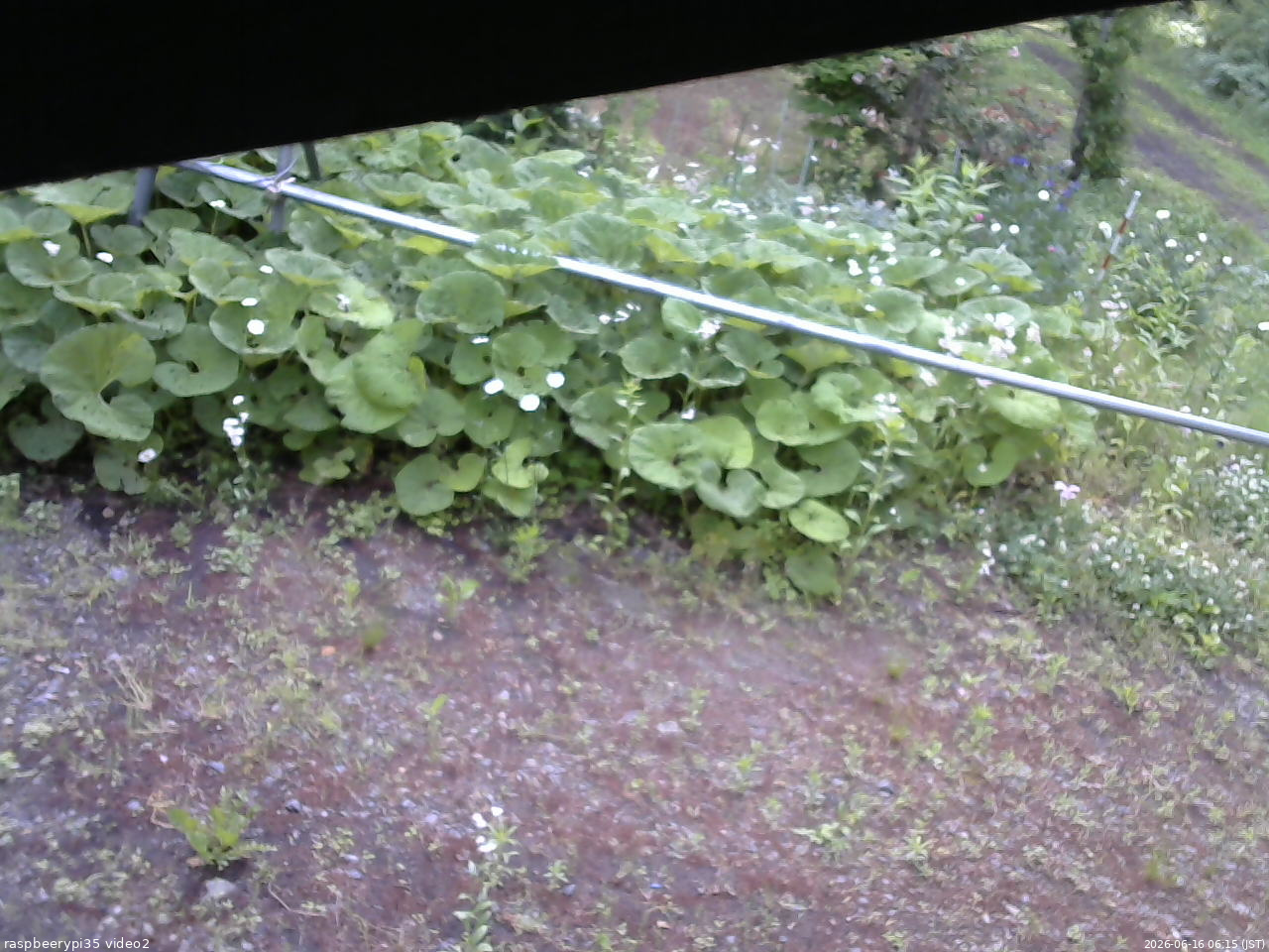 長野県菅平高原 ゆたか山荘 駐車場 2026/06/16 06:15