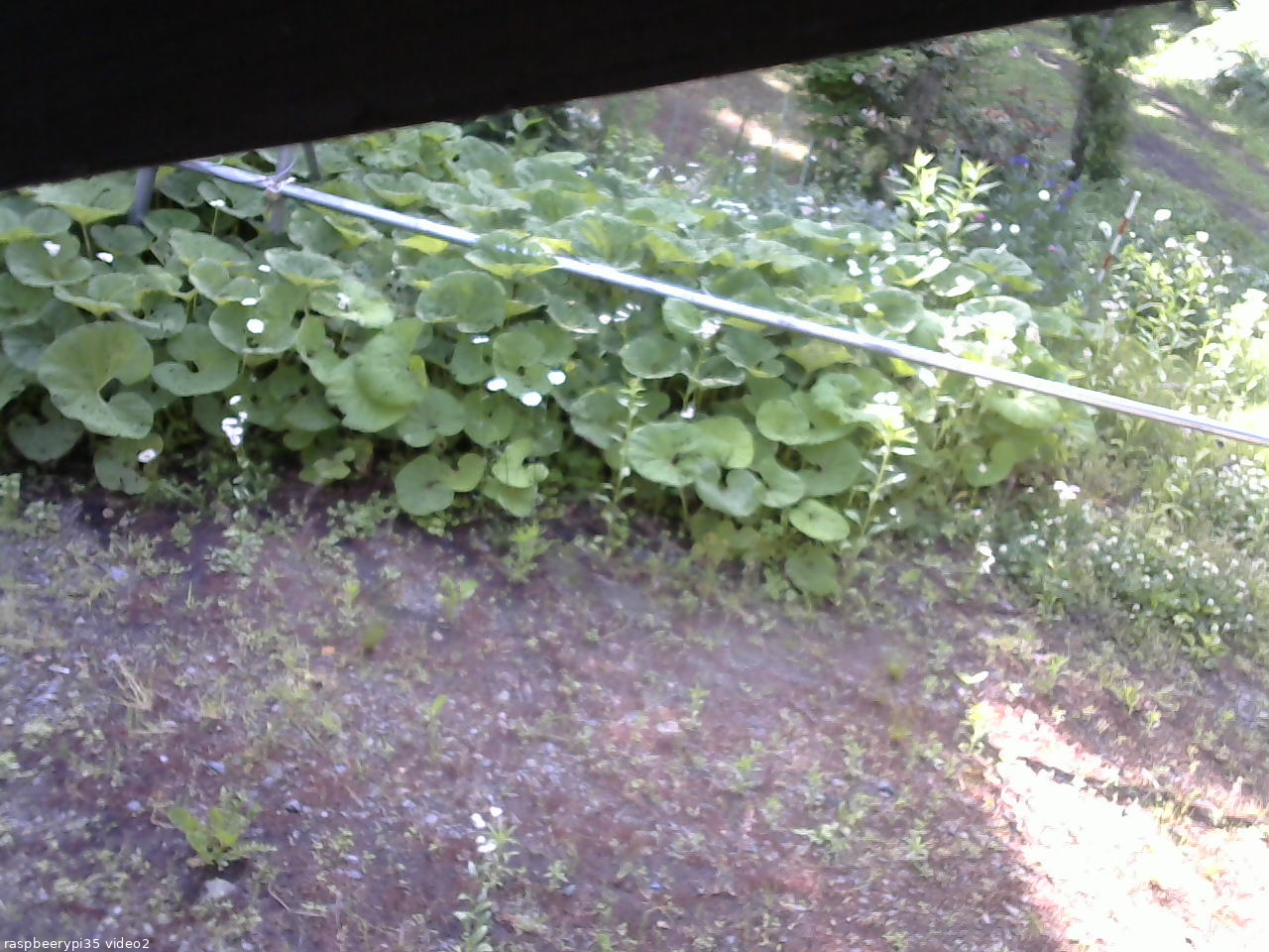 長野県菅平高原 ゆたか山荘 駐車場 2026/06/16 06:45