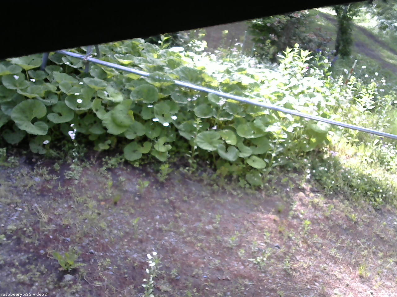 長野県菅平高原 ゆたか山荘 駐車場 2026/06/16 07:15