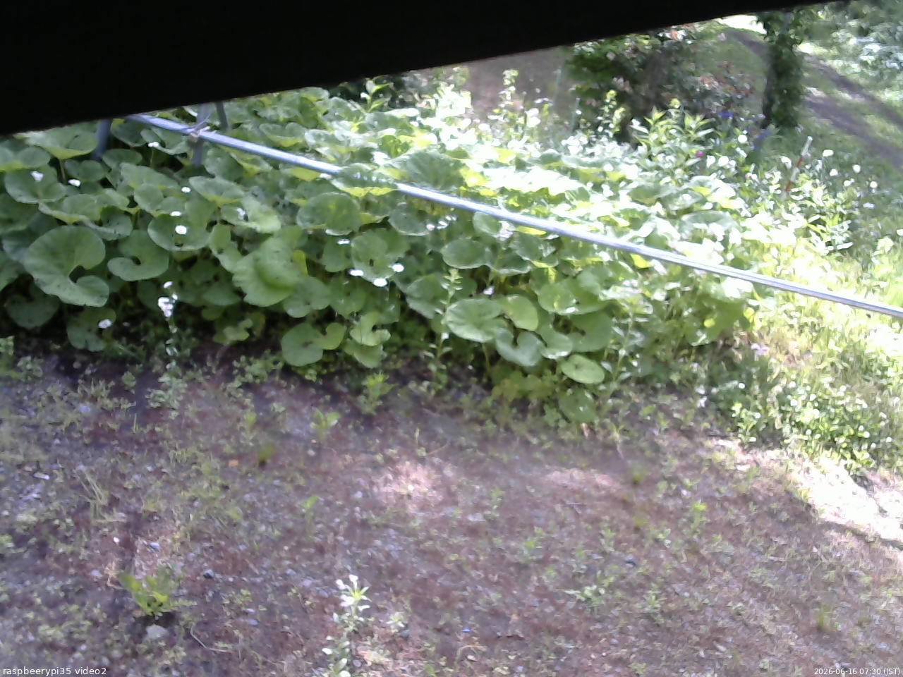 長野県菅平高原 ゆたか山荘 駐車場 2026/06/16 07:30