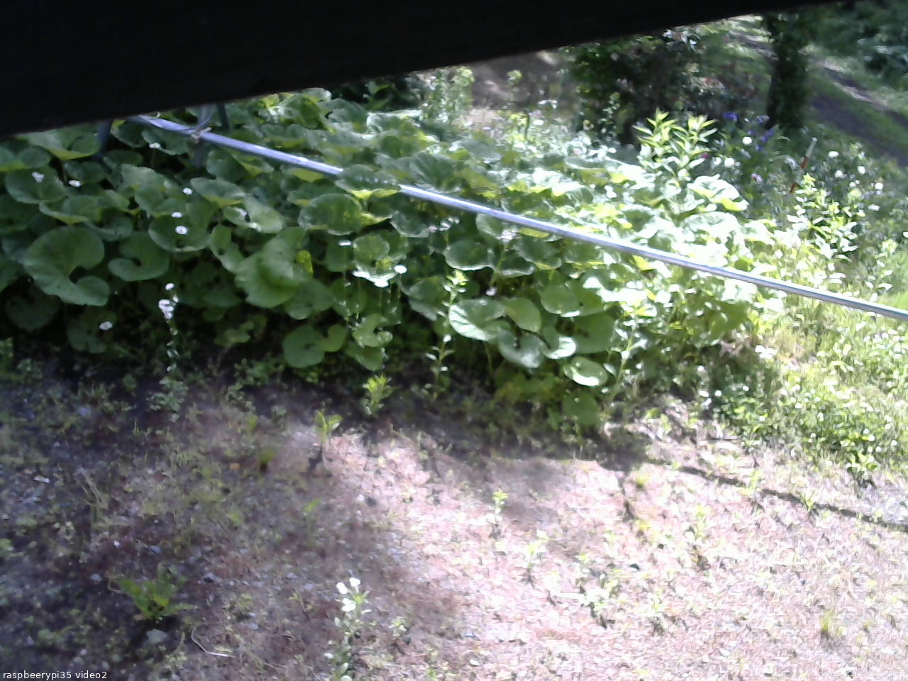長野県菅平高原 ゆたか山荘 駐車場 2026/06/16 08:00