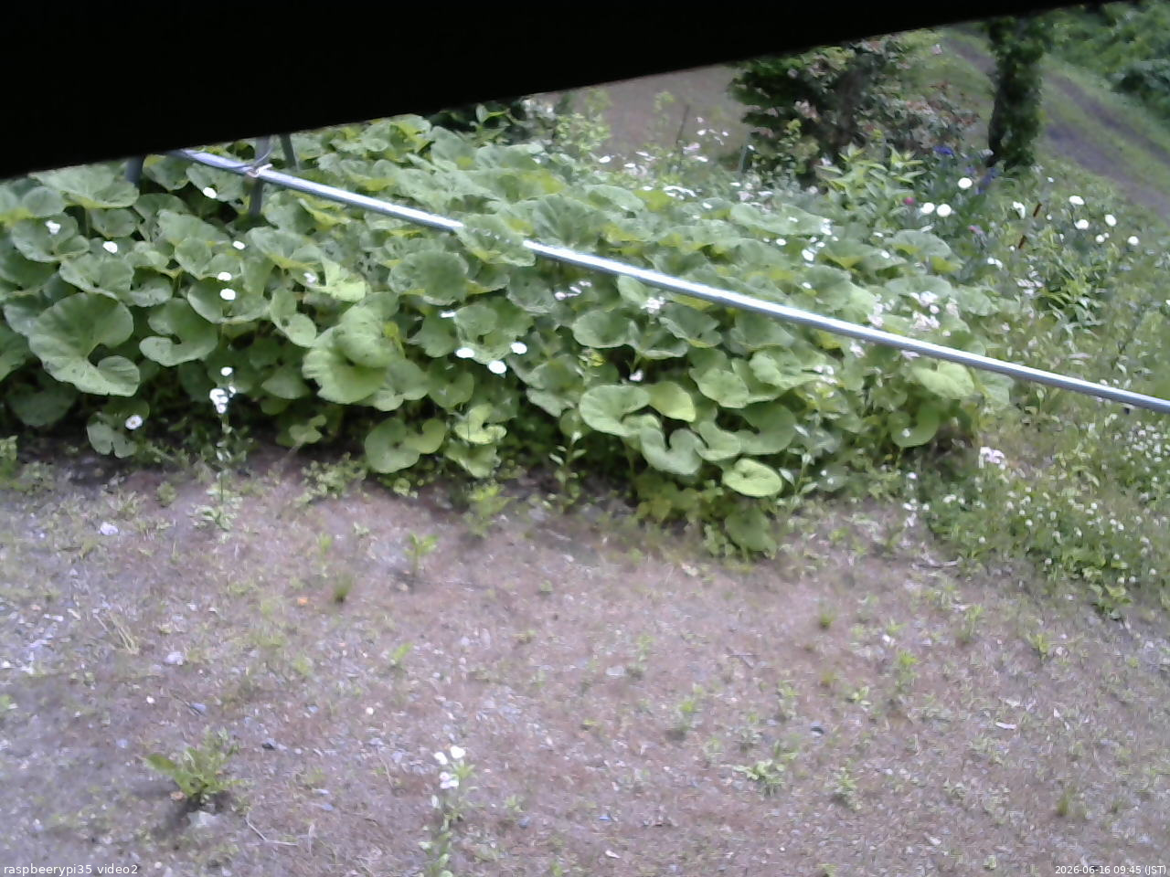 長野県菅平高原 ゆたか山荘 駐車場 2026/06/16 09:45