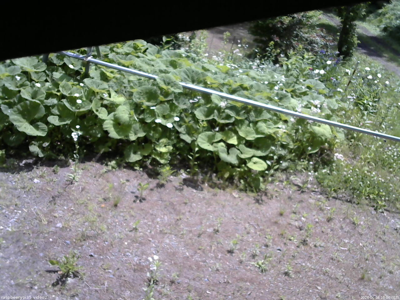 長野県菅平高原 ゆたか山荘 駐車場 2026/06/16 10:00
