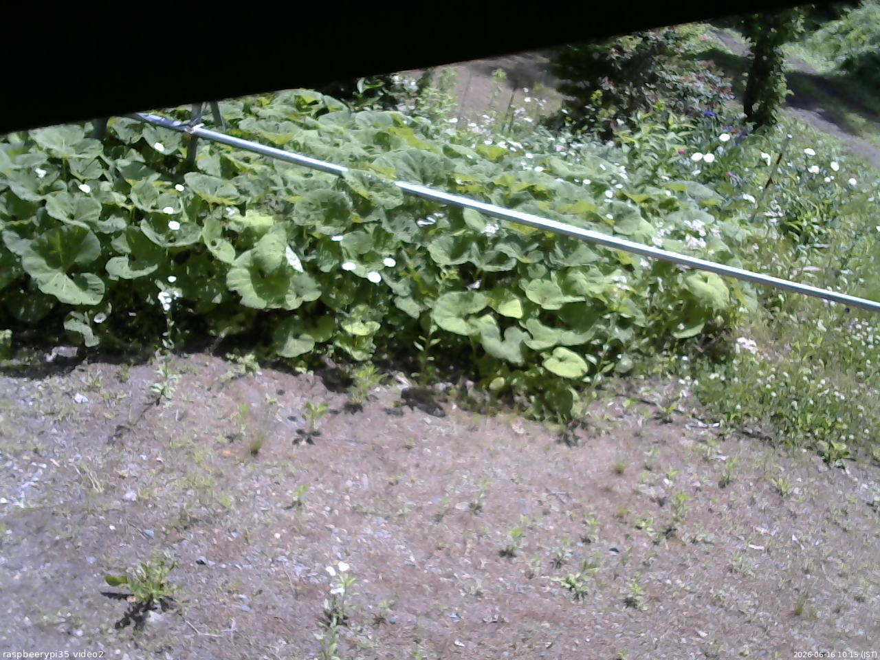 長野県菅平高原 ゆたか山荘 駐車場 2026/06/16 10:15