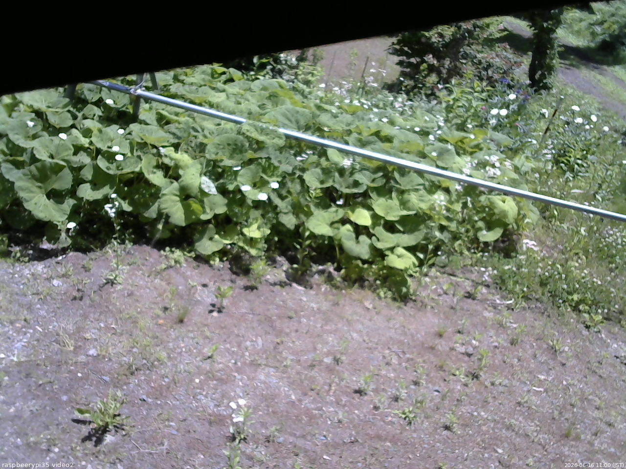 長野県菅平高原 ゆたか山荘 駐車場 2026/06/16 11:00