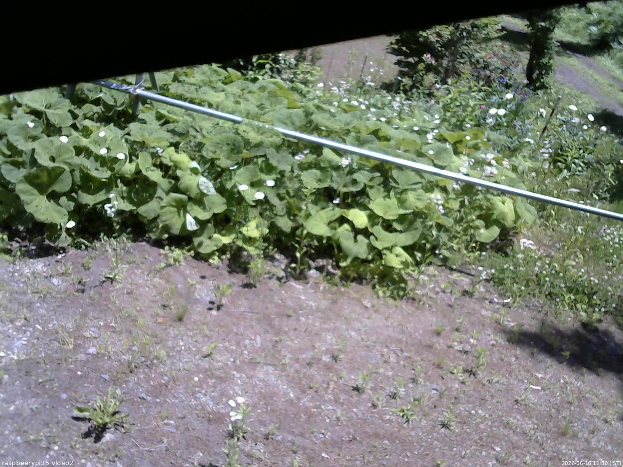 長野県菅平高原 ゆたか山荘 駐車場 2026/06/16 11:30