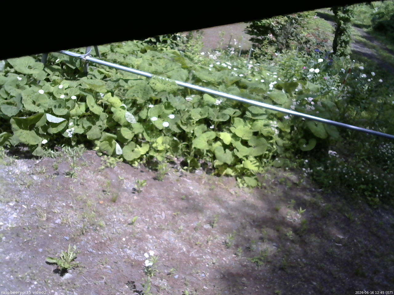 長野県菅平高原 ゆたか山荘 駐車場 2026/06/16 12:45