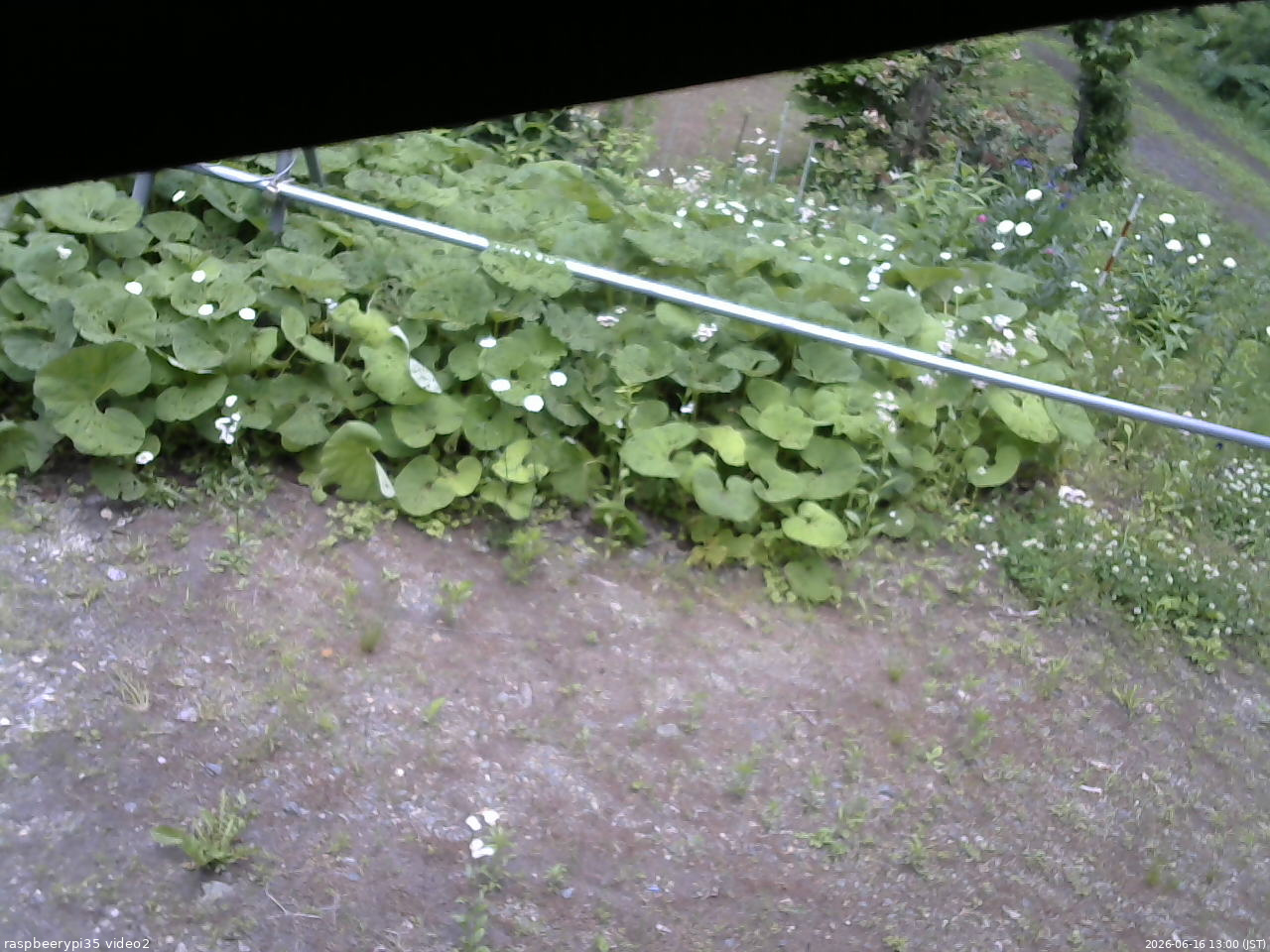 長野県菅平高原 ゆたか山荘 駐車場 2026/06/16 13:00