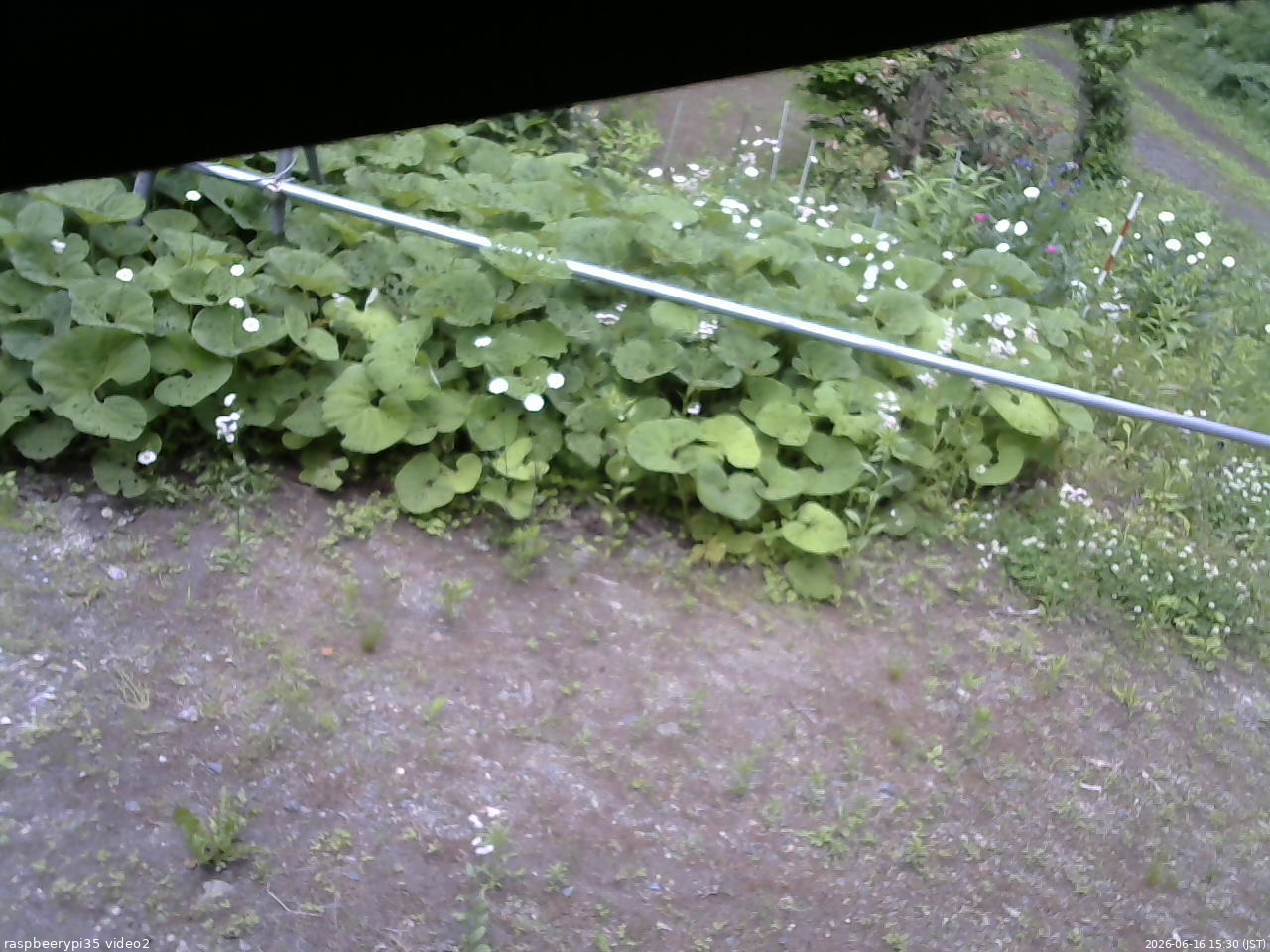 長野県菅平高原 ゆたか山荘 駐車場 2026/06/16 15:30