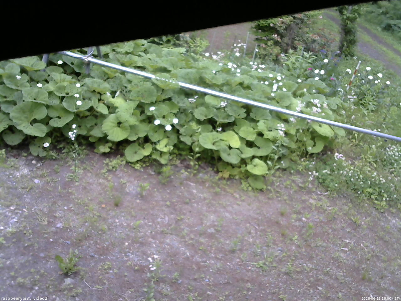 長野県菅平高原 ゆたか山荘 駐車場 2026/06/16 16:00