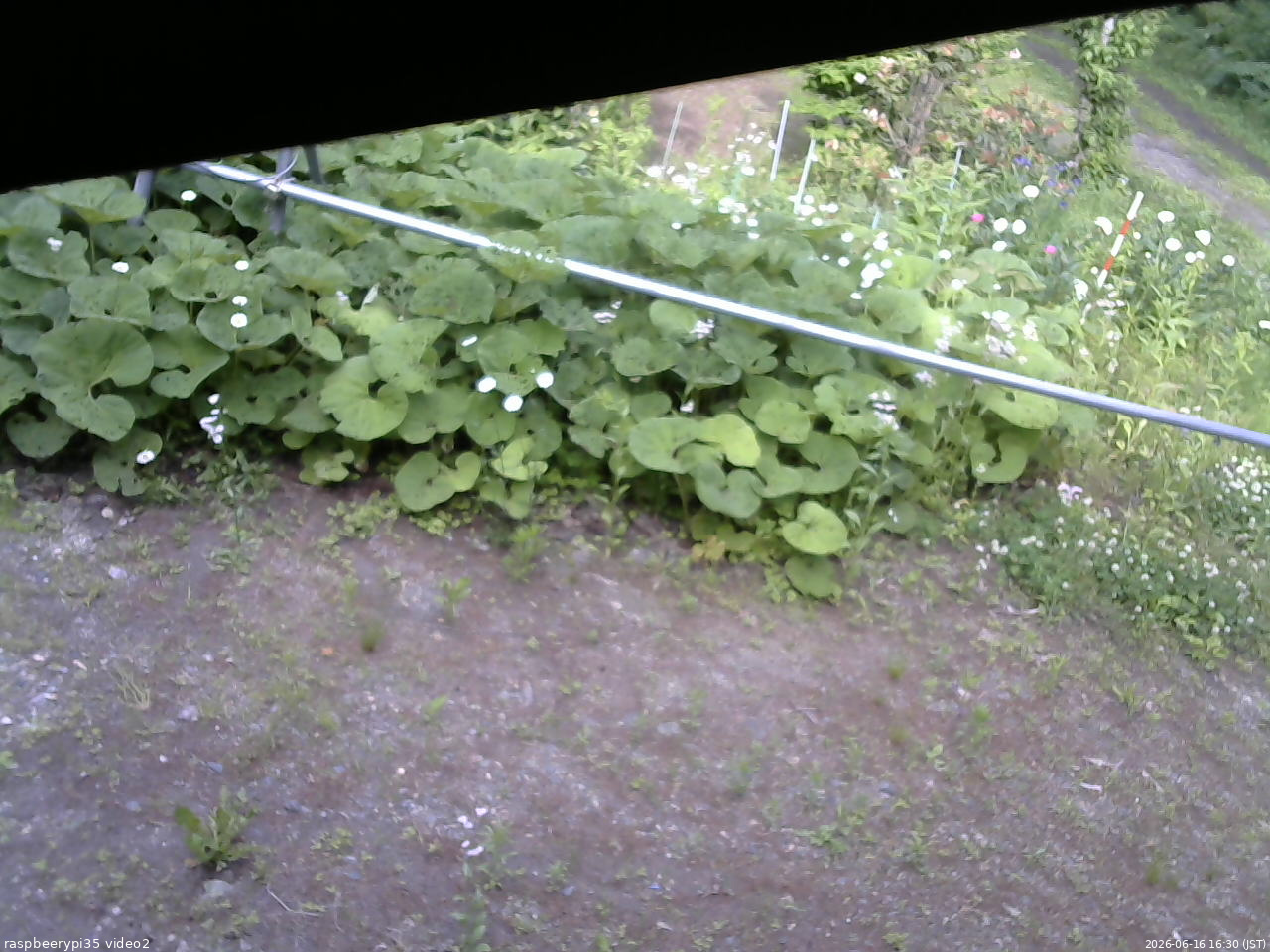 長野県菅平高原 ゆたか山荘 駐車場 2026/06/16 16:30