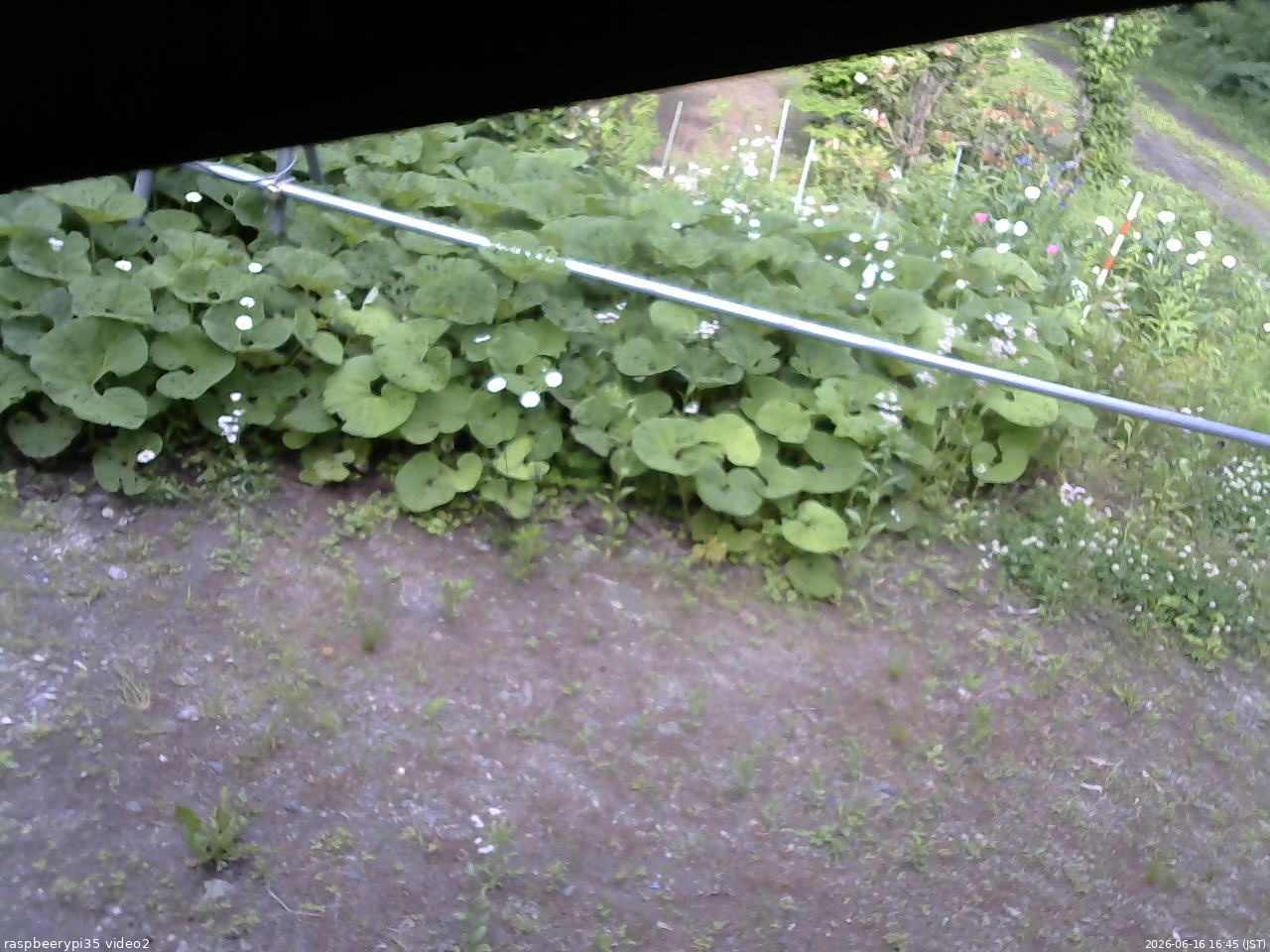 長野県菅平高原 ゆたか山荘 駐車場 2026/06/16 16:45