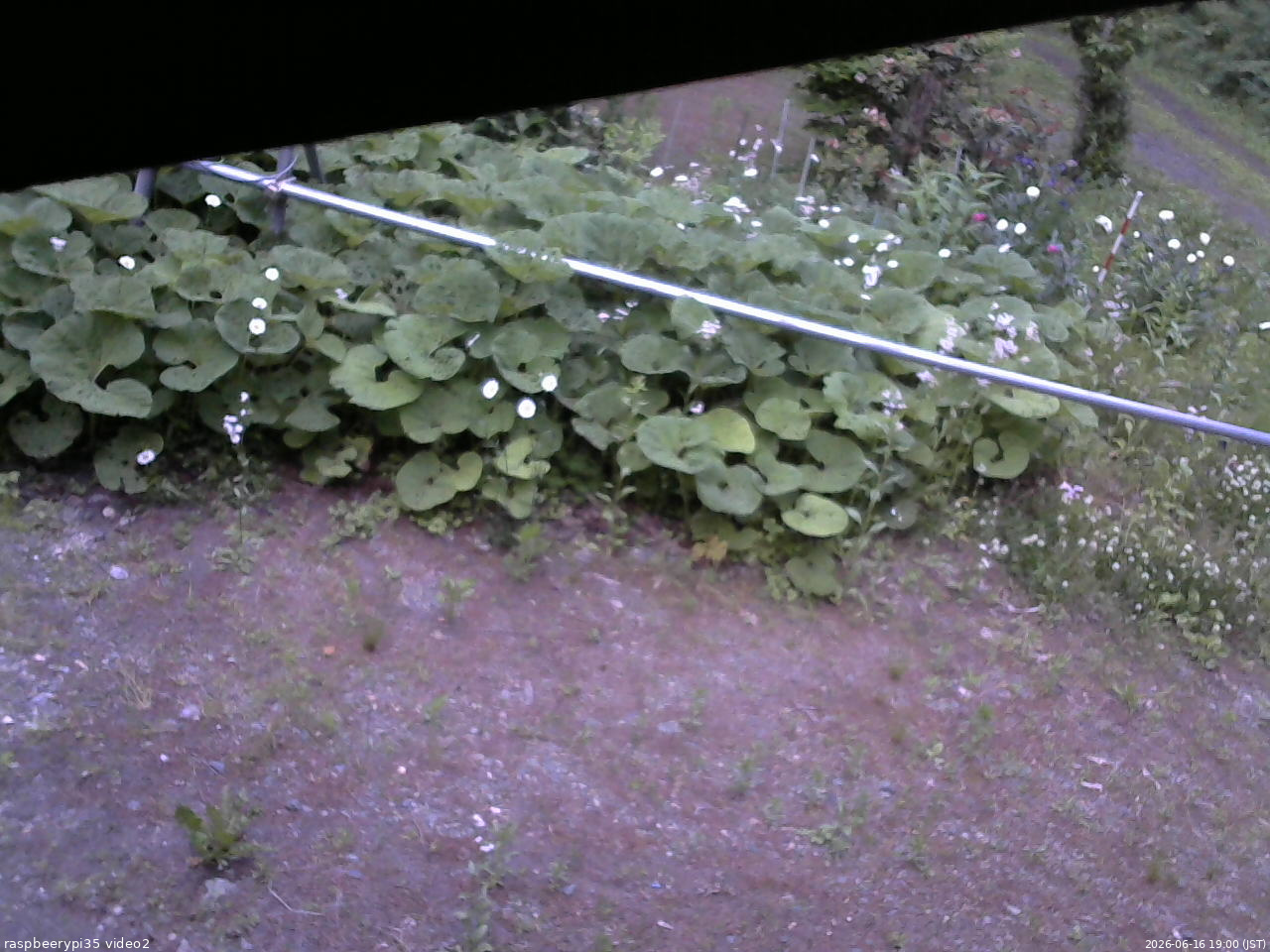 長野県菅平高原 ゆたか山荘 駐車場 2026/06/16 19:00