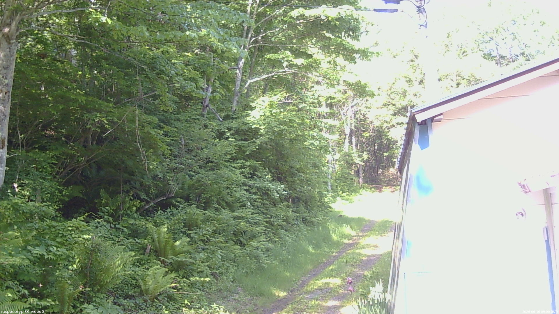 長野県菅平高原 ゆたか山荘 ゆたか山荘 2026/06/16 09:00