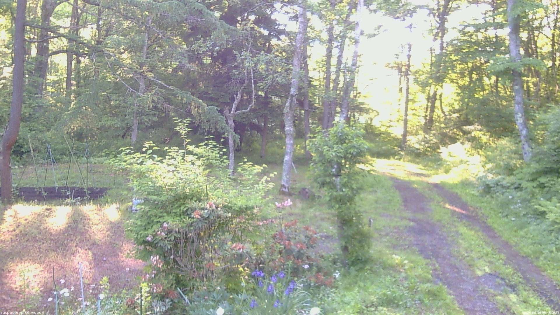 長野県菅平高原 ゆたか山荘 坂上 2026/06/16 05:45