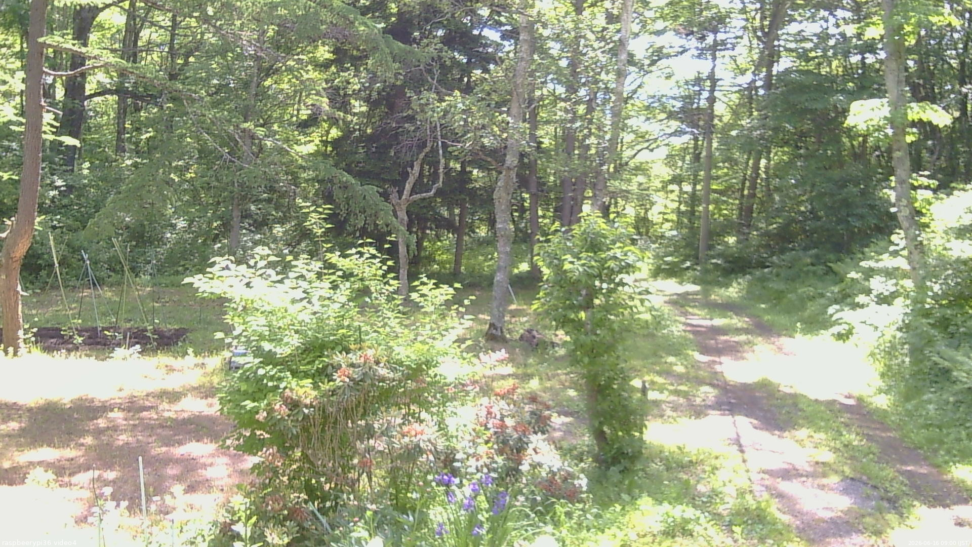 長野県菅平高原 ゆたか山荘 坂上 2026/06/16 09:00
