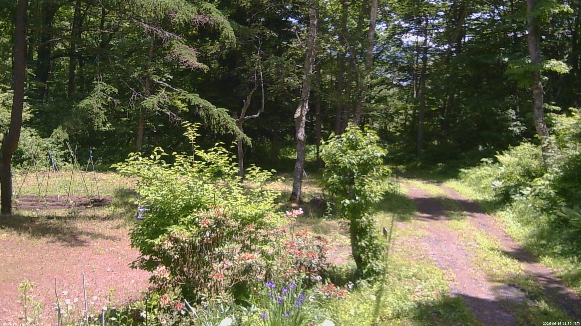 長野県菅平高原 ゆたか山荘 坂上 2026/06/16 11:30
