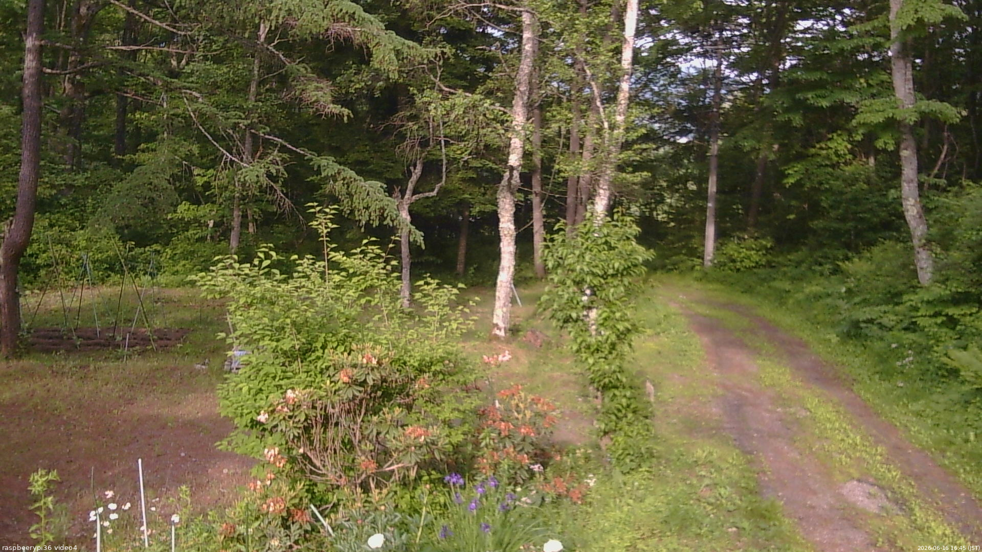 長野県菅平高原 ゆたか山荘 坂上 2026/06/16 16:45