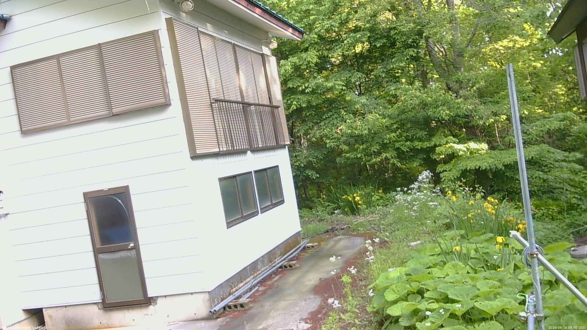 長野県菅平高原 ゆたか山荘 坂下 2026/06/16 06:00