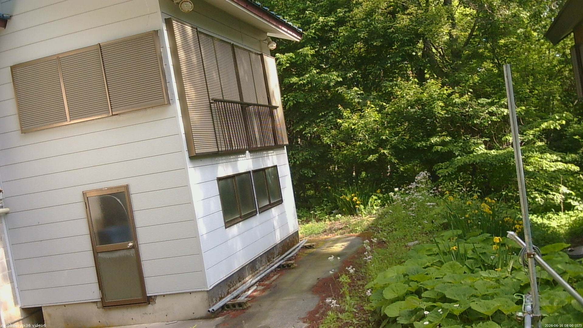 長野県菅平高原 ゆたか山荘 坂下 2026/06/16 08:00