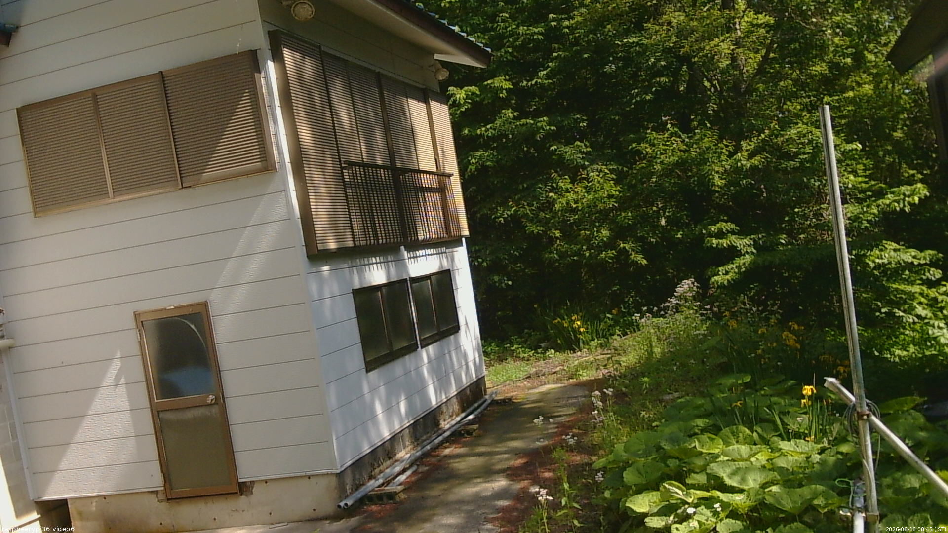 長野県菅平高原 ゆたか山荘 坂下 2026/06/16 08:45