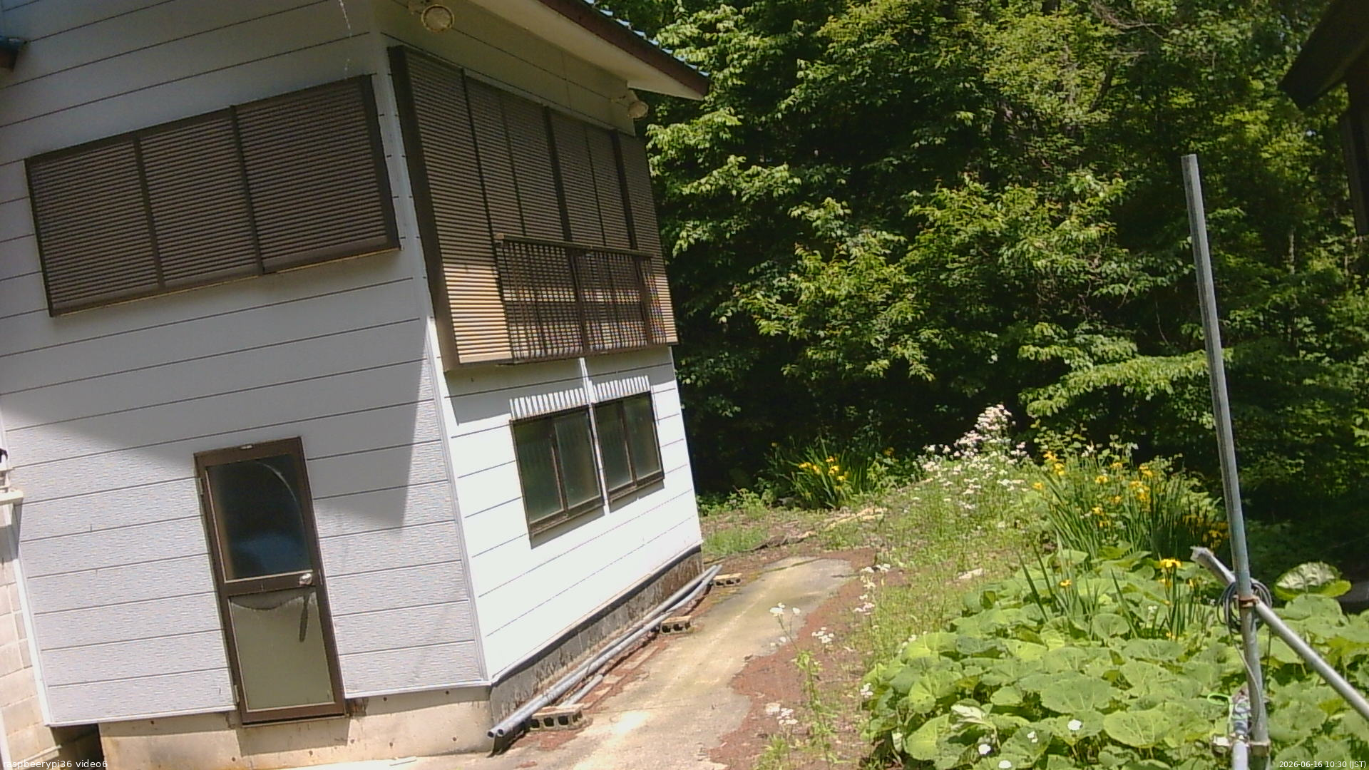 長野県菅平高原 ゆたか山荘 坂下 2026/06/16 10:30