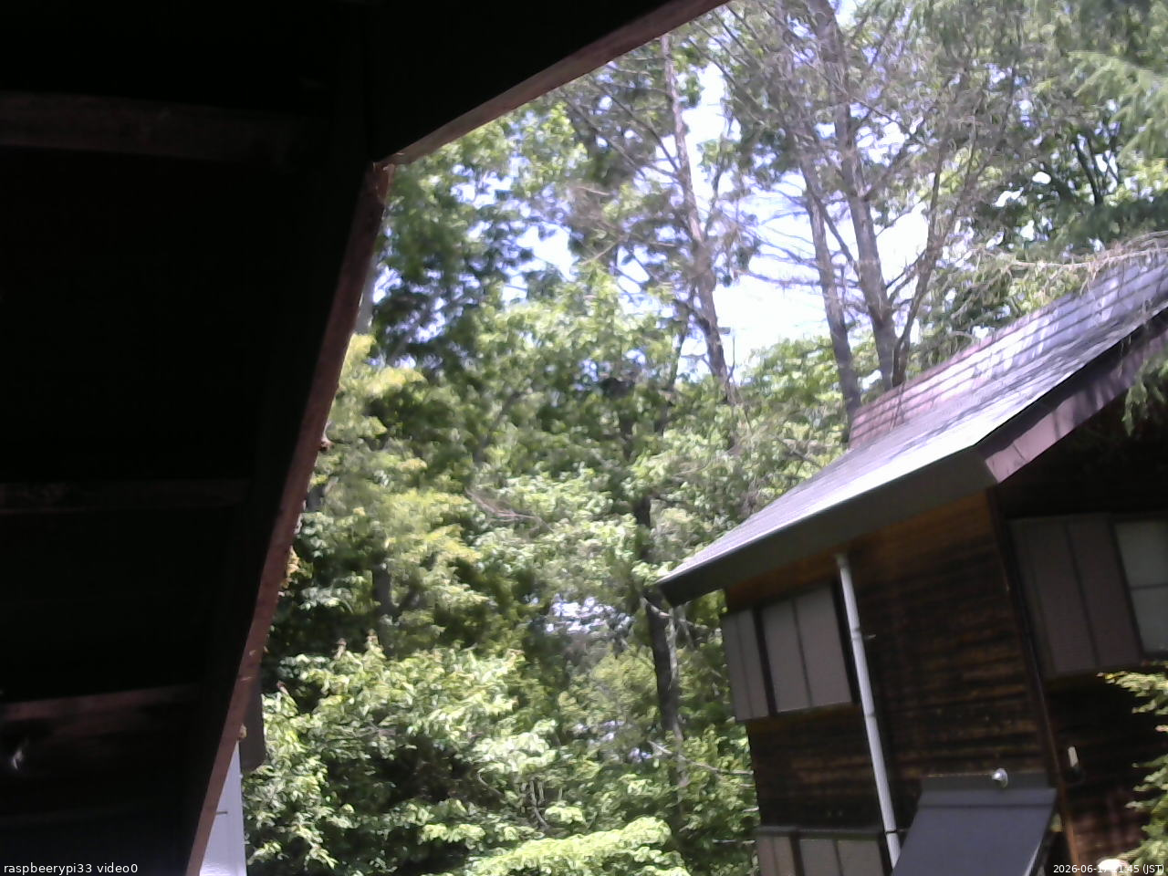 長野県菅平高原 ゆたか山荘 北側 2026/06/17 11:45