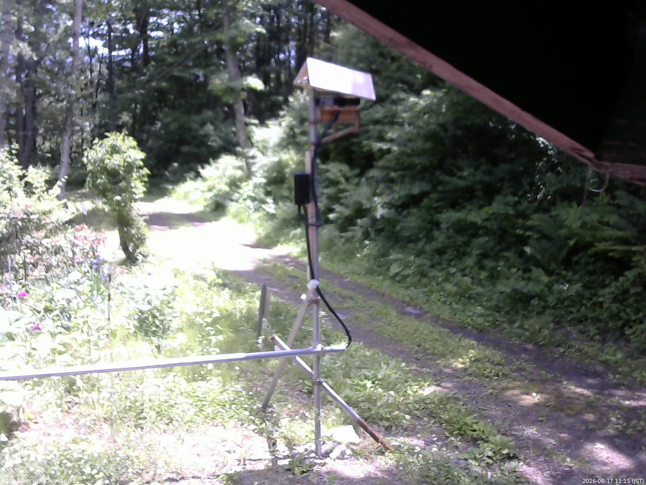 長野県菅平高原 ゆたか山荘 南側 2026/06/17 11:15