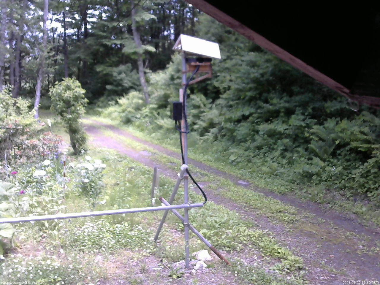 長野県菅平高原 ゆたか山荘 南側 2026/06/17 11:30