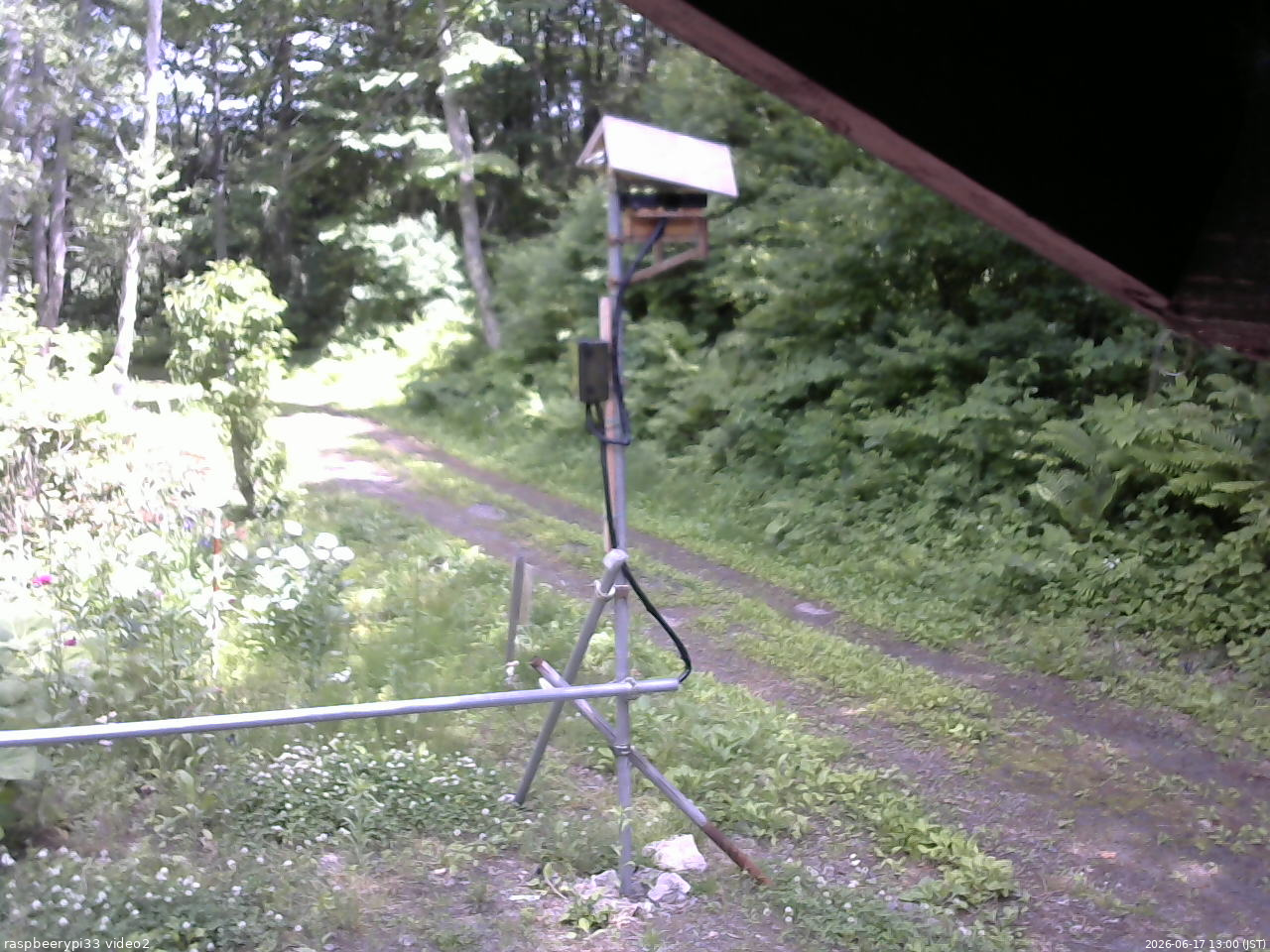 長野県菅平高原 ゆたか山荘 南側 2026/06/17 13:00