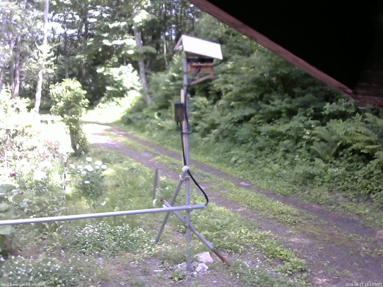長野県菅平高原 ゆたか山荘 南側 2026/06/17 13:15