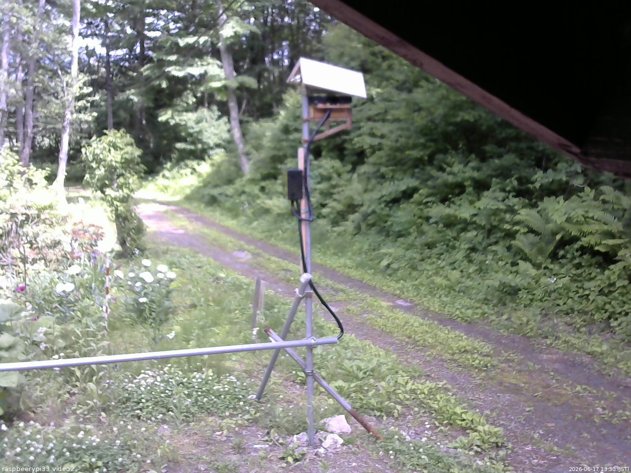 長野県菅平高原 ゆたか山荘 南側 2026/06/17 13:30