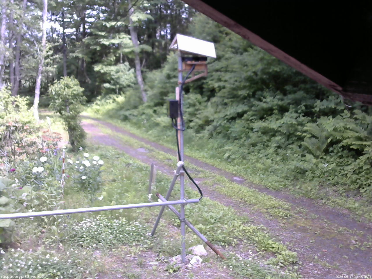 長野県菅平高原 ゆたか山荘 南側 2026/06/17 13:45