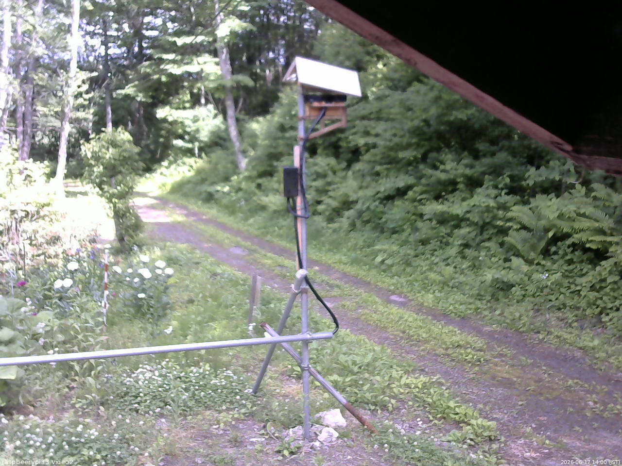 長野県菅平高原 ゆたか山荘 南側 2026/06/17 14:00