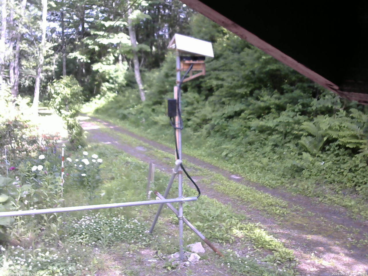 長野県菅平高原 ゆたか山荘 南側 2026/06/17 14:15