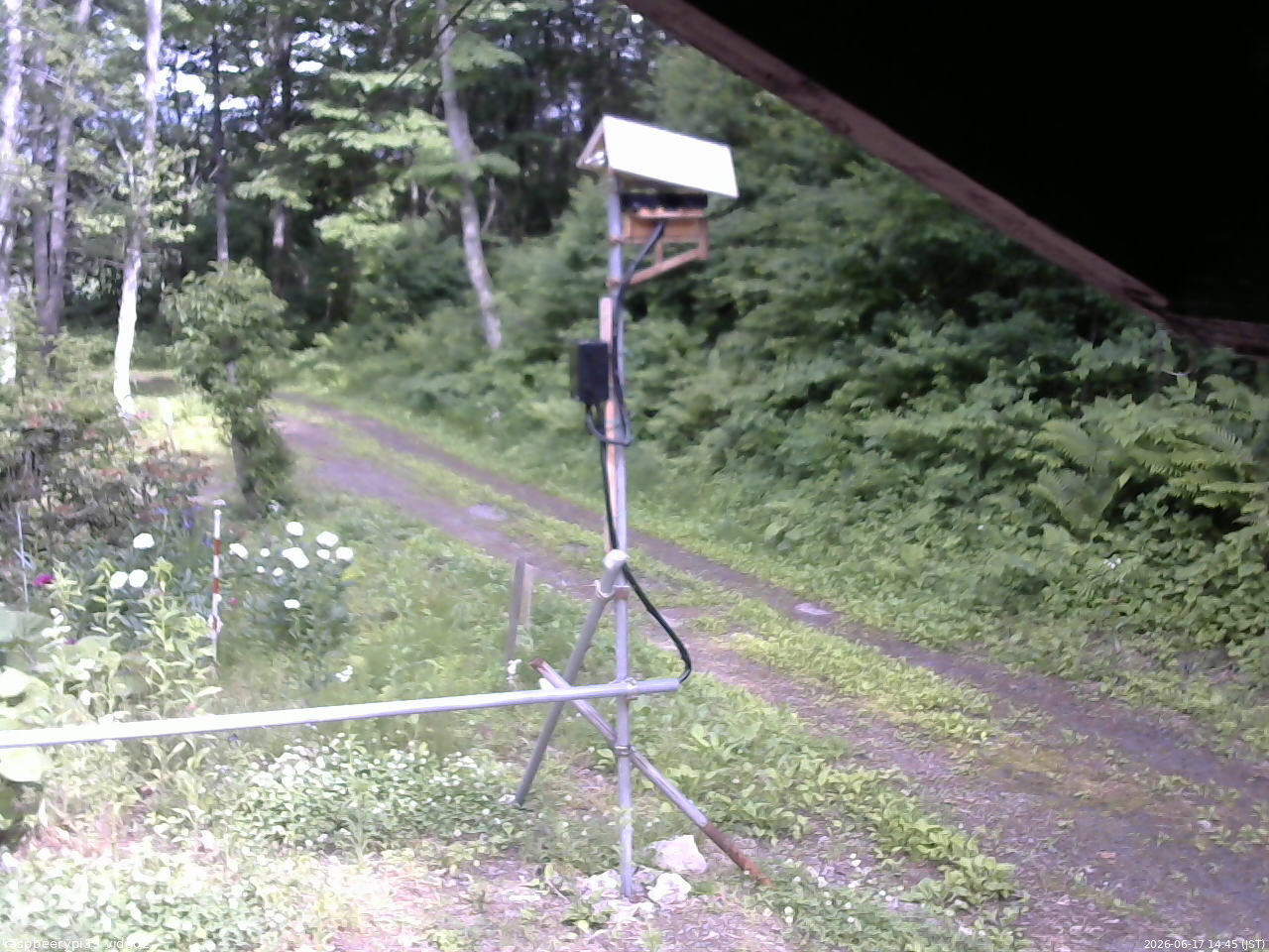 長野県菅平高原 ゆたか山荘 南側 2026/06/17 14:45