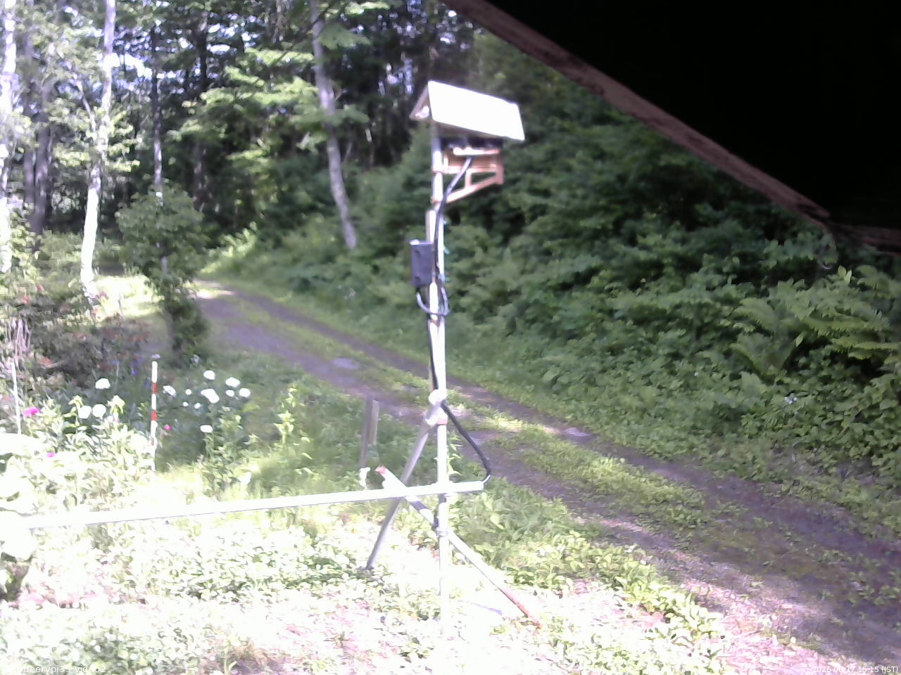 長野県菅平高原 ゆたか山荘 南側 2026/06/17 15:15