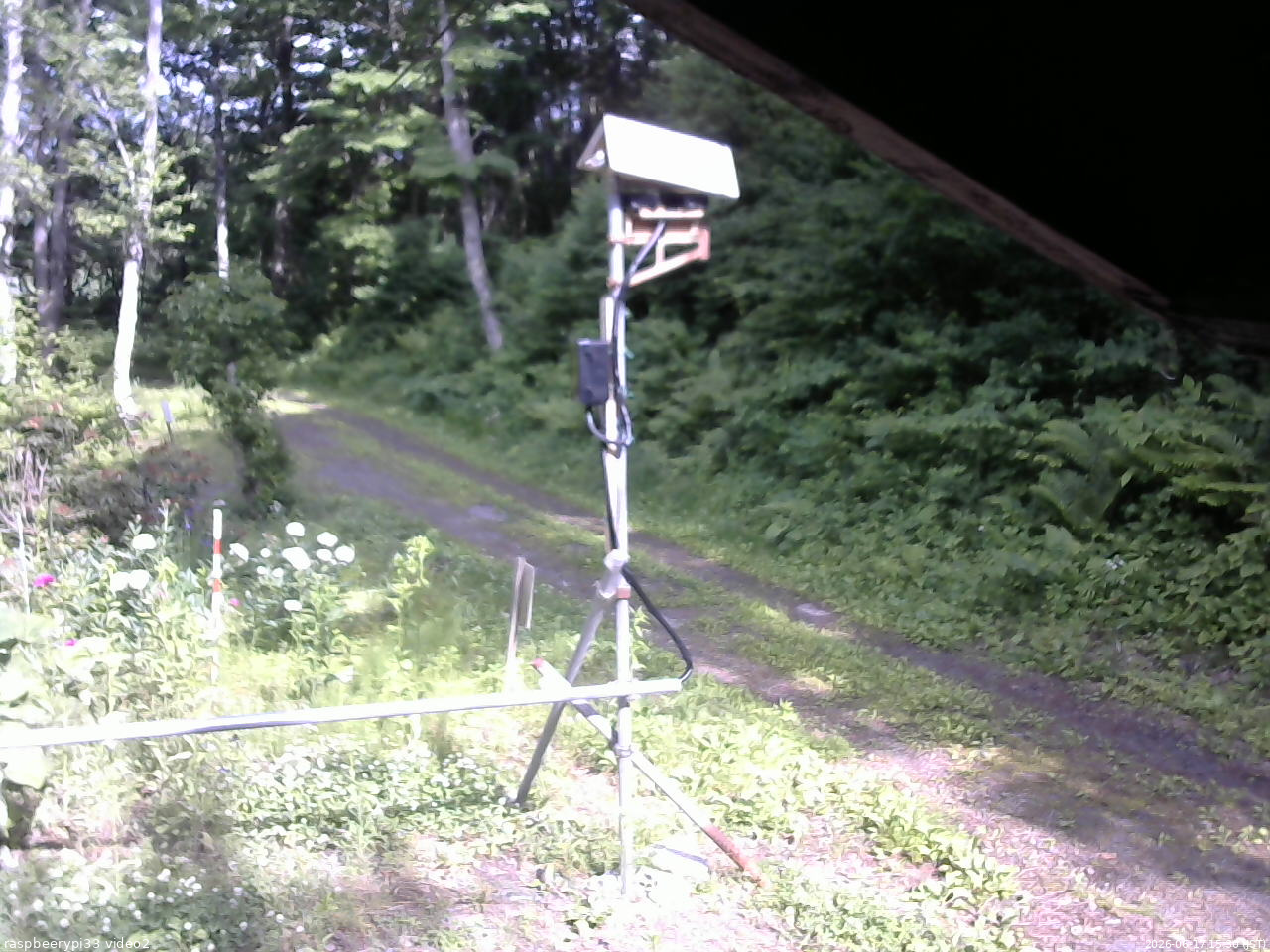 長野県菅平高原 ゆたか山荘 南側 2026/06/17 15:30