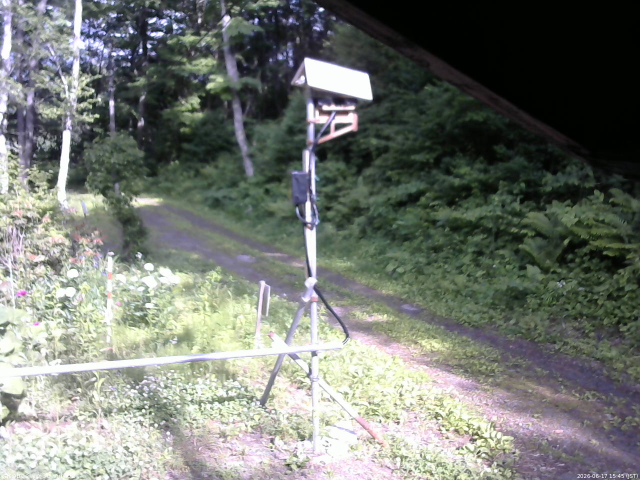 長野県菅平高原 ゆたか山荘 南側 2026/06/17 15:45